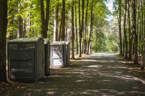 Best Affordable portable toilet rental  in Brooksville, MS